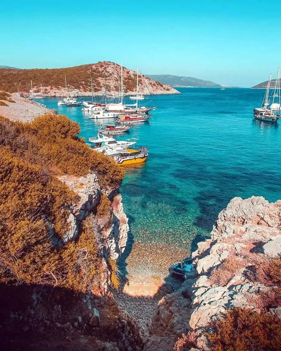Adaboğazı Koyunda Yapılabilecek Aktiviteler Nelerdir