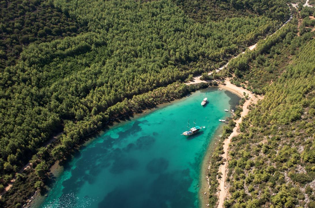 Meteor Koyu'nun Özellikleri Nelerdir