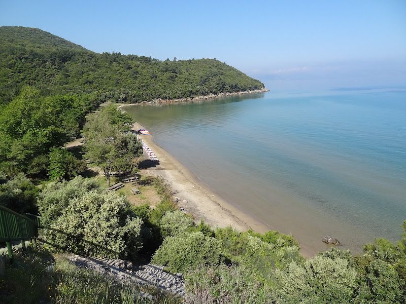 Aydınlık Koyu Çevresinde Konaklama Seçenekleri Nelerdir