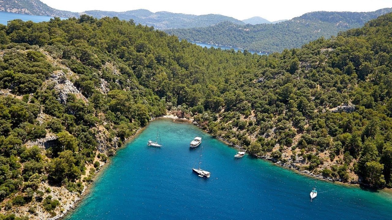 Sıralıb&uuml;k Koyunun &Ouml;zellikleri Nelerdir