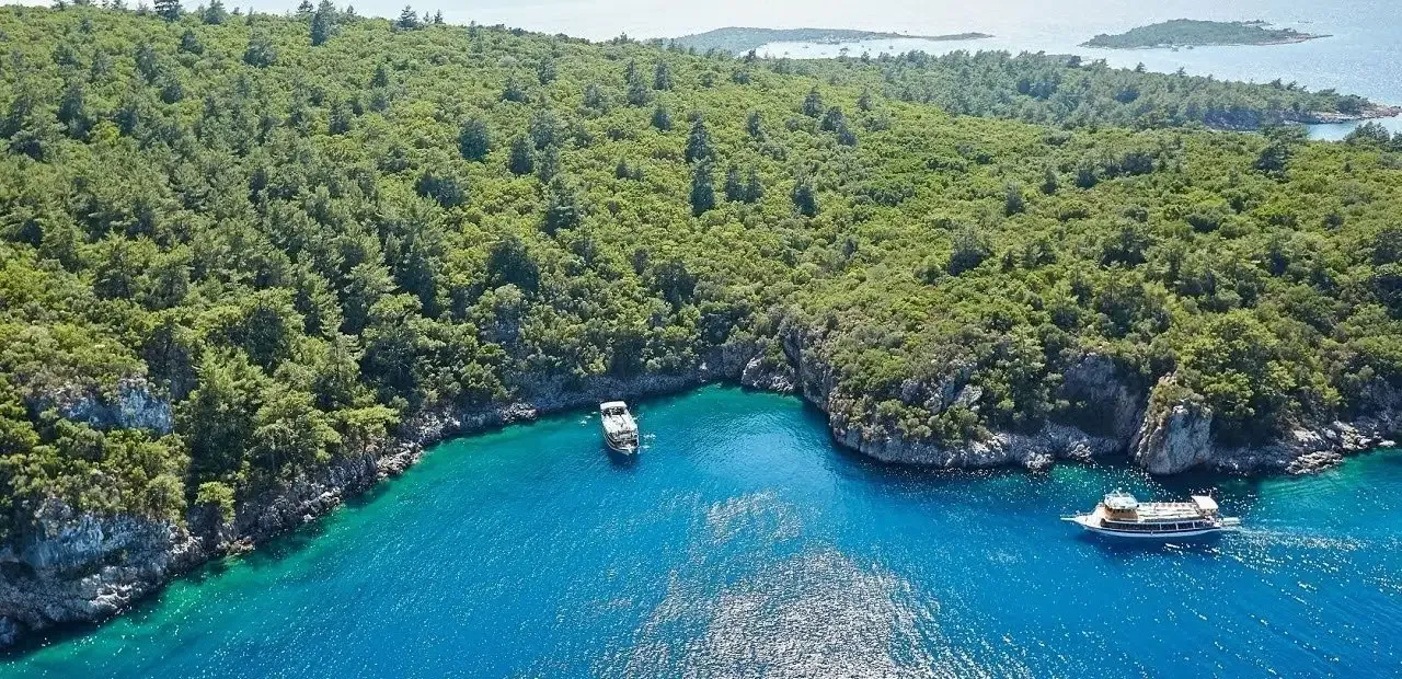 Lacivert Koy Nerede Bulunuyor