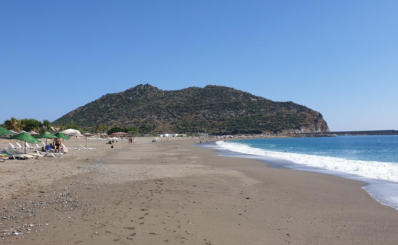 Gazipaşa Halk Plajı'nda Kamp Yapılabilir Mi